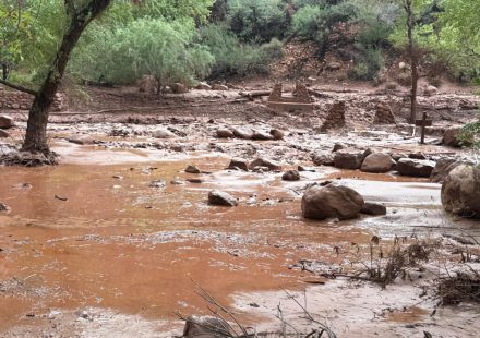 Flash flood hits US Grand Canyon, more than 15 people wanted