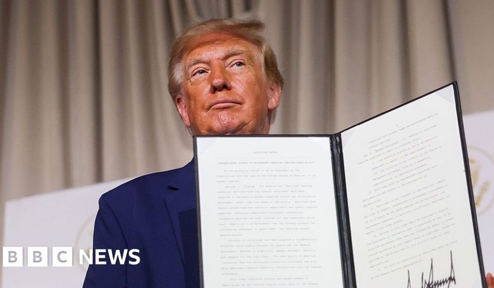 Trump rules out US-China joint venture to develop AI - BBC News Africa