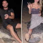 Couple spark global fury after riding nesting sea turtle