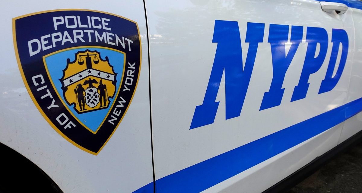Man Killed by Falling Tree in Brooklyn, New York, Responds to Hundreds of Reports of Tree Damage