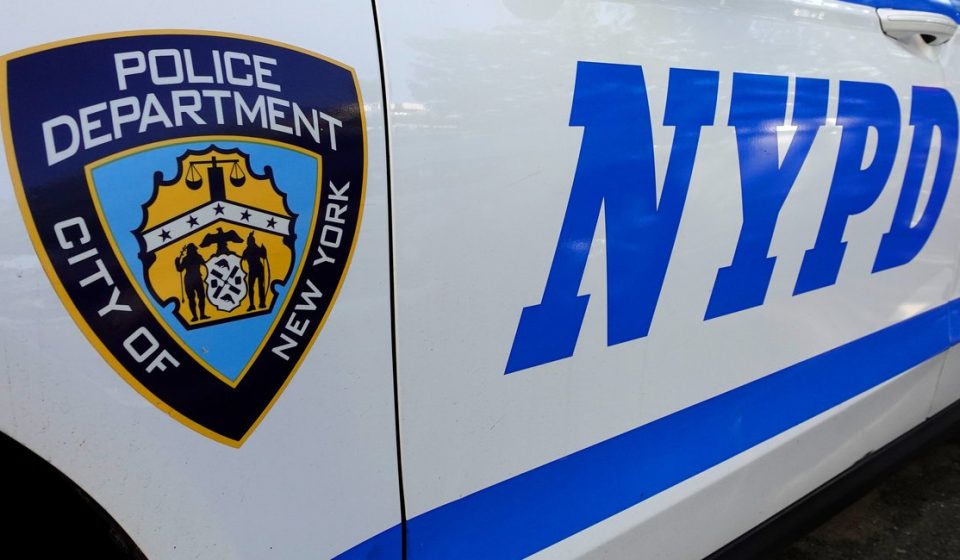 Man Killed by Falling Tree in Brooklyn, New York, Responds to Hundreds of Reports of Tree Damage