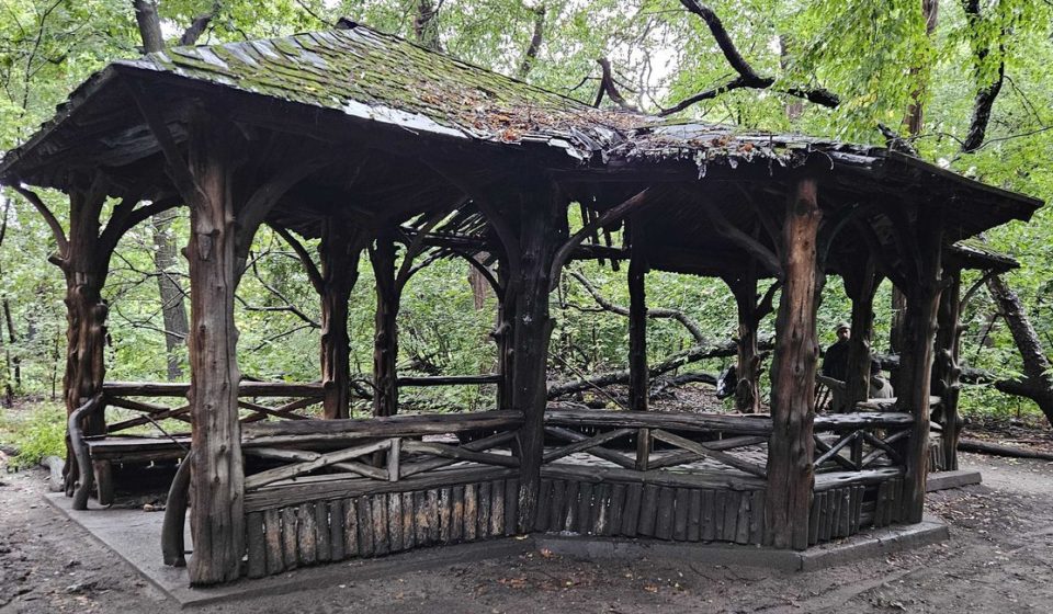 Central Park birders and others remember 63-year-old woman killed in park