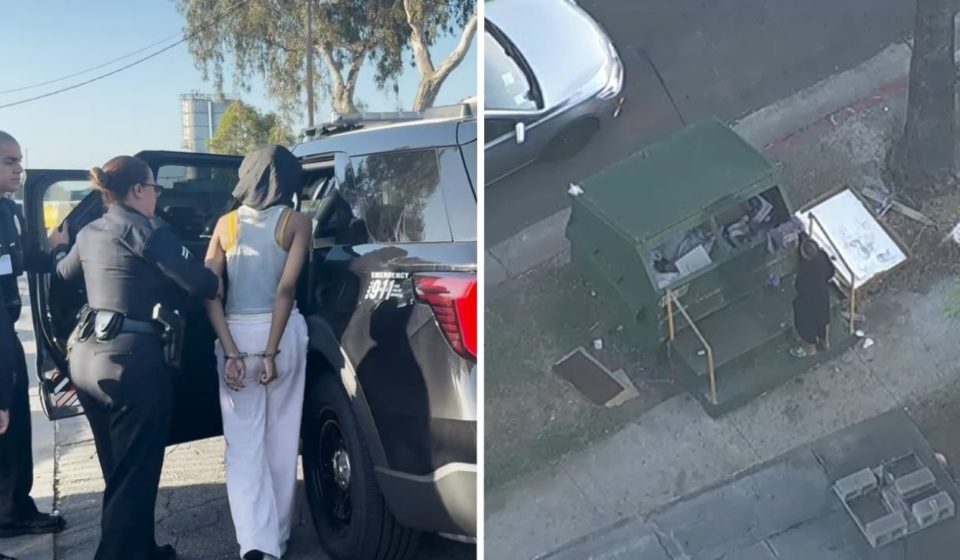Baby dead after being found in dumpster in South Los Angeles, mother taken into custody, police say