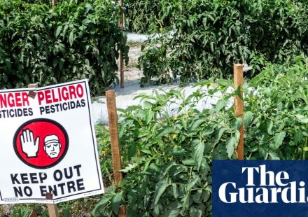 New research reveals 485 chemicals in US pesticide products linked to breast cancer | US News