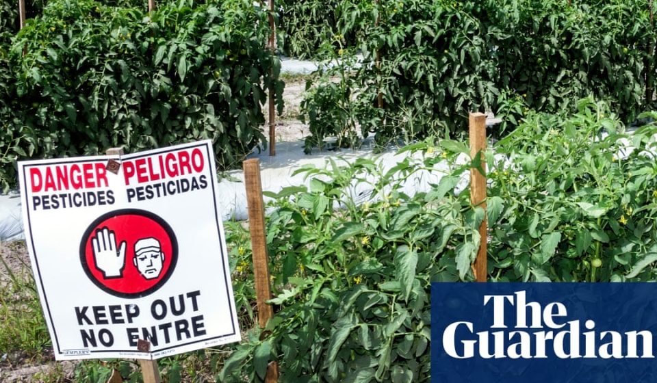 New research reveals 485 chemicals in US pesticide products linked to breast cancer | US News