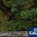 Texts on alleged Cornell gang rape released after investigation reopens | new York