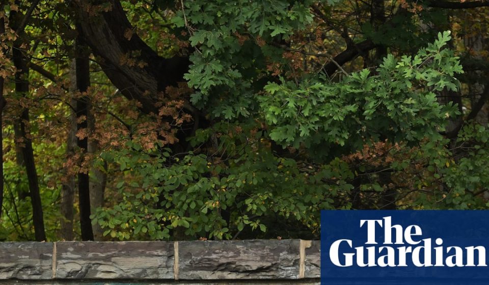 Texts on alleged Cornell gang rape released after investigation reopens | new York