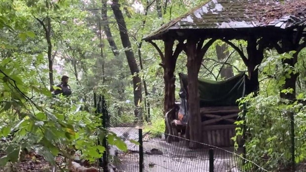 Woman killed in New York's Central Park was talented artist who lived there, friends say