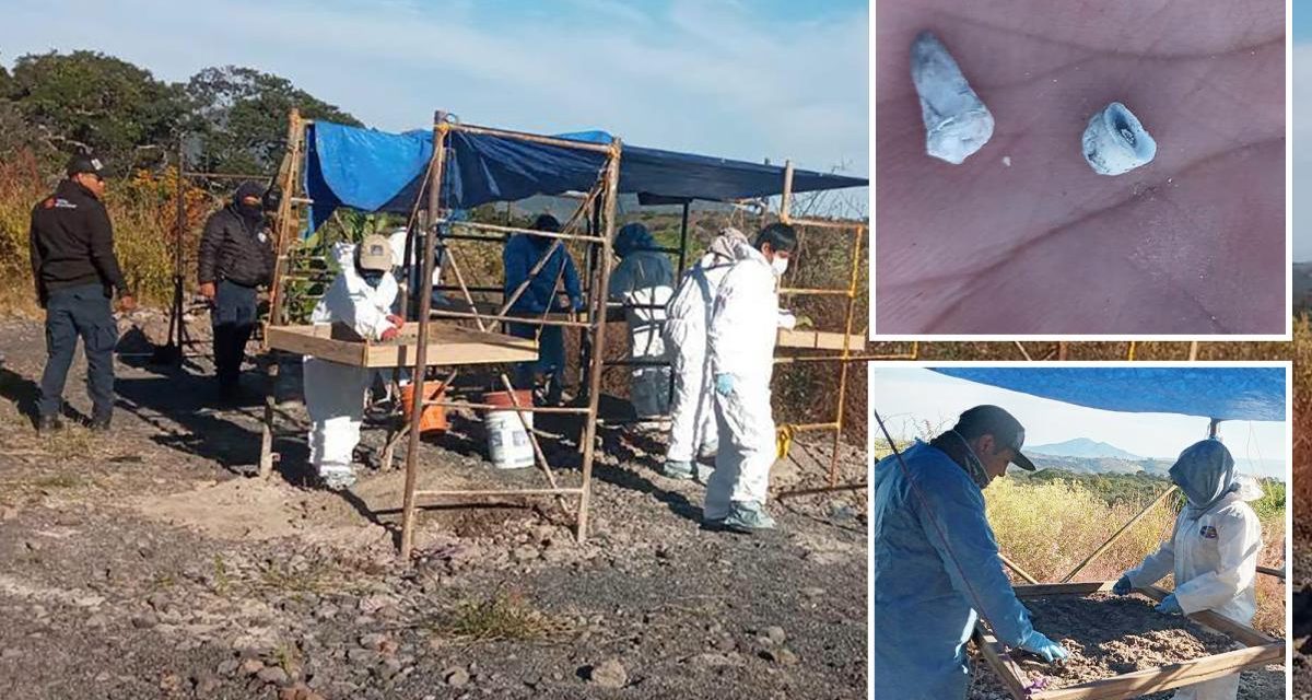 1,600 baby teeth discovered at suspected mass grave site in Mexico