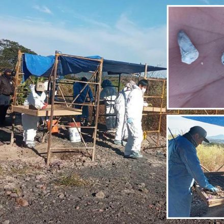 1,600 baby teeth discovered at suspected mass grave site in Mexico