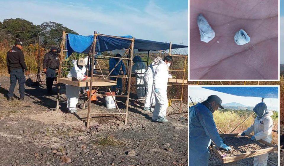 1,600 baby teeth discovered at suspected mass grave site in Mexico