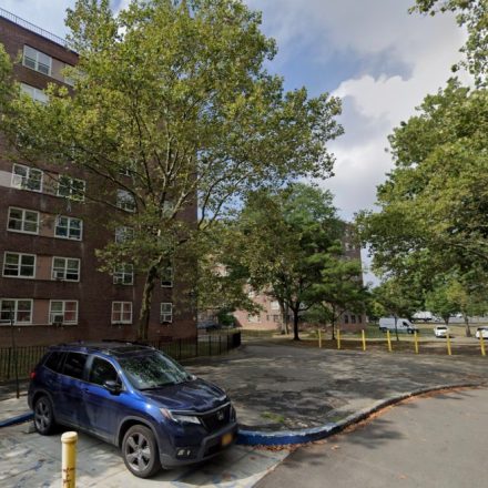 NYCHA worker killed by falling tree as Nor'easter hits with extreme wind gusts