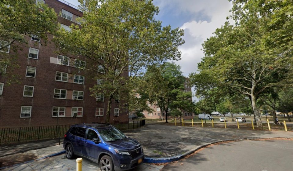NYCHA worker killed by falling tree as Nor'easter hits with extreme wind gusts