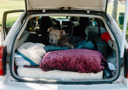 In California, these thousands of Americans forced to live in their cars