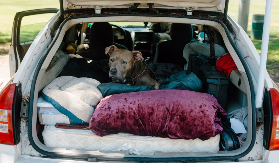 In California, these thousands of Americans forced to live in their cars