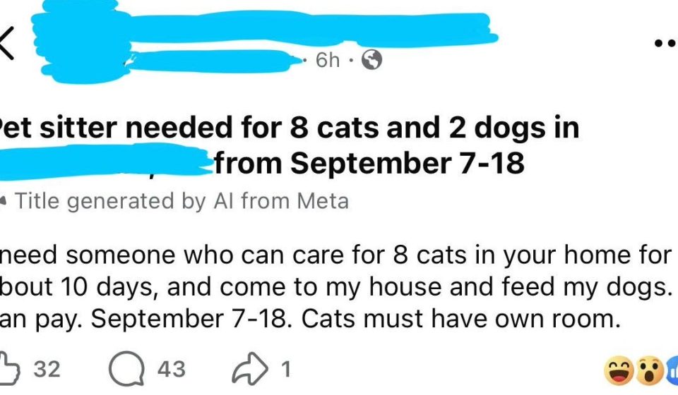 23 Horrible, Selfish, Entitled People Who Thought the World Owes Them Everything - buzzfeed.com