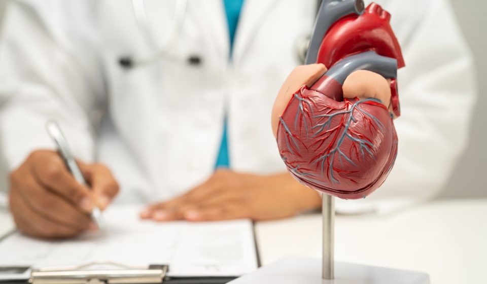 New guidance could help doctors correctly diagnose more heart attacks in women – WTOP News