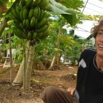 In France, exotic fruit crops boosted by climate change - Élément Terre, the report