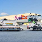 New giant pandas from China arrive at Zoo Atlanta