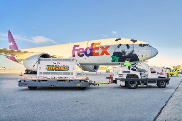 New giant pandas from China arrive at Zoo Atlanta