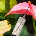 What happens when your partner gets a penis filler?