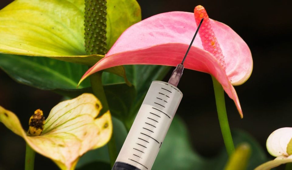 What happens when your partner gets a penis filler?