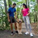 an everyday companion could help you live longer and reduce the risk of premature death