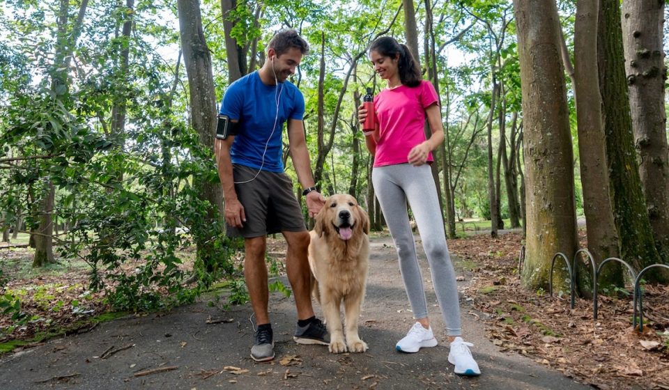 an everyday companion could help you live longer and reduce the risk of premature death