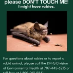 Another person treated for rabies exposure after being bitten by a bat on Cal Poly Humboldt campus; Public health officials urge residents to avoid contact with wild creatures | Lost Coast Outpost