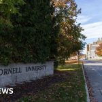 US prosecutors reopen alleged gang rape case at Cornell University - BBC News Africa