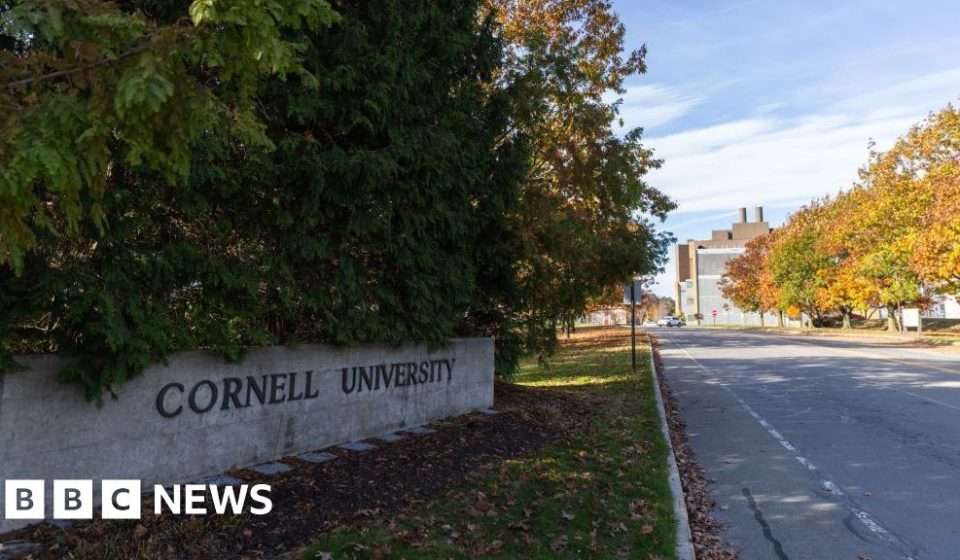 US prosecutors reopen alleged gang rape case at Cornell University - BBC News Africa