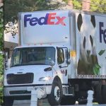 Giant pandas are at home at Zoo Atlanta – WSB-TV Channel 2