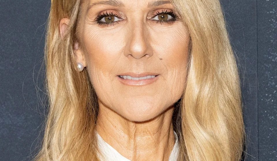 Celine Dion's return takes a 'sad' turn after viral performance: 'She should have retired'