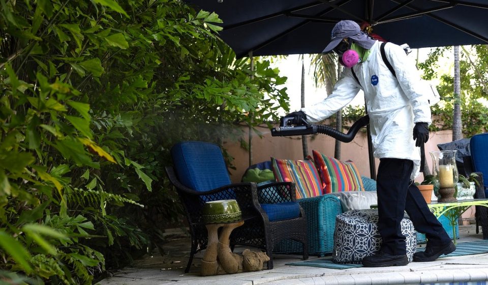Dengue outbreak prompts 3 counties to declare state of emergency