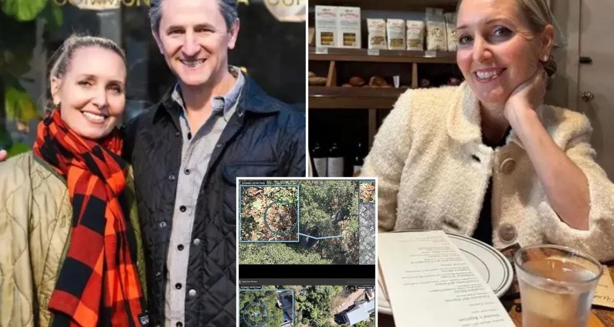 New clues to search for Californian cafe owner Amy Hillyard, missing 6 months after her disappearance
