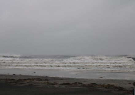 Nor'easter hits the Philadelphia area: here's what you need to know