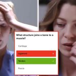 Most people can't even name 12 basic body parts, so if you ace this anatomy quiz, you're basically a genius - BuzzFeed