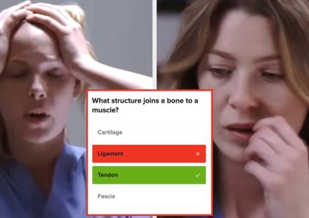 Most people can't even name 12 basic body parts, so if you ace this anatomy quiz, you're basically a genius - BuzzFeed