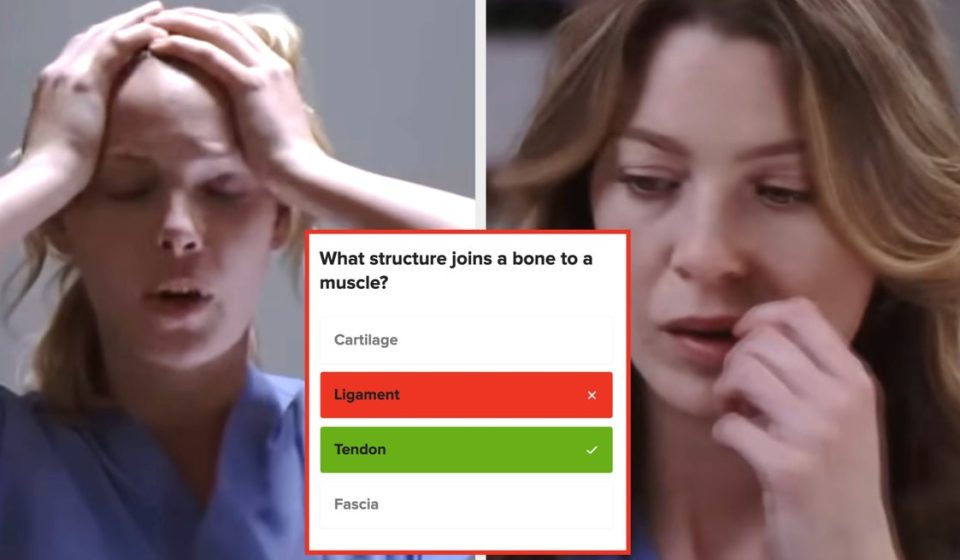 Most people can't even name 12 basic body parts, so if you ace this anatomy quiz, you're basically a genius - BuzzFeed