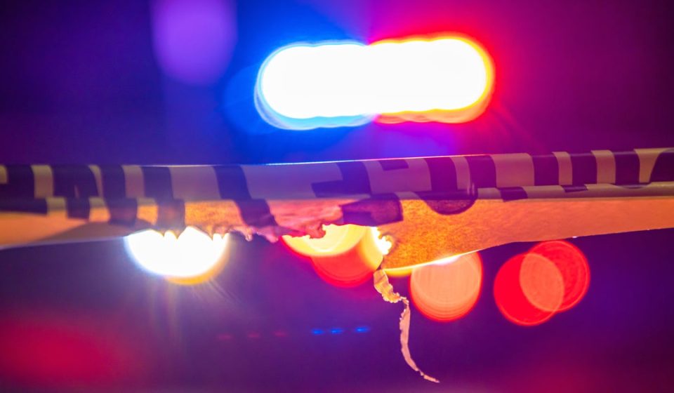 Mass shooting in Georgia park injures 11 teens at birthday party