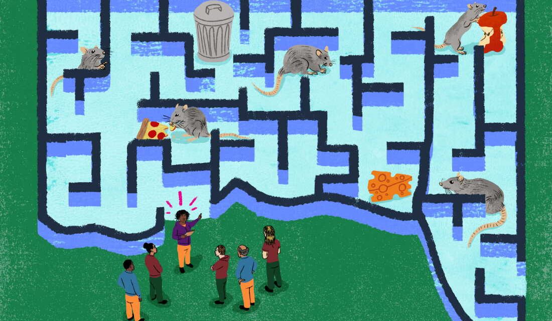 How to control the number of rats? Training humans: NPR