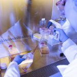 Origin Genomics' mission is to create healthy, genetically engineered babies: NPR