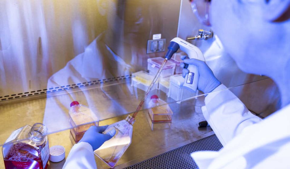 Origin Genomics' mission is to create healthy, genetically engineered babies: NPR