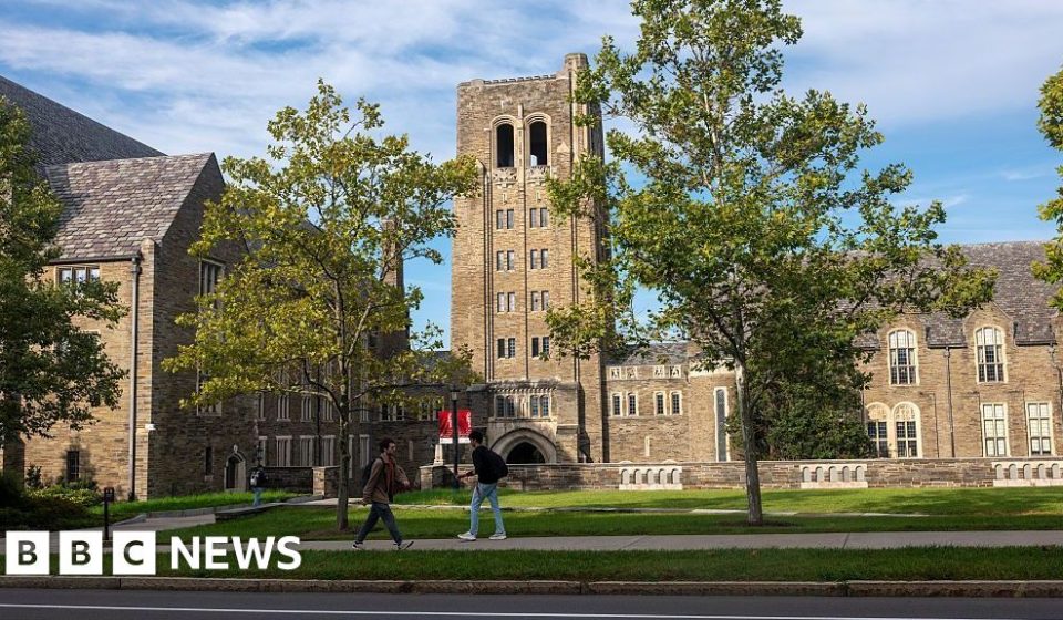 Cornell fraternity rape accuser 'under siege' online, lawyer says - BBC News Africa