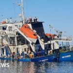 Zelensky condemns 'horrible' Russian strike on corn boat in Black Sea - BBC News Africa