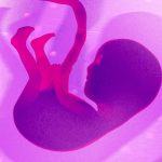 Biotech Founder Makes Moral Case for Genetically Editing Human Embryos