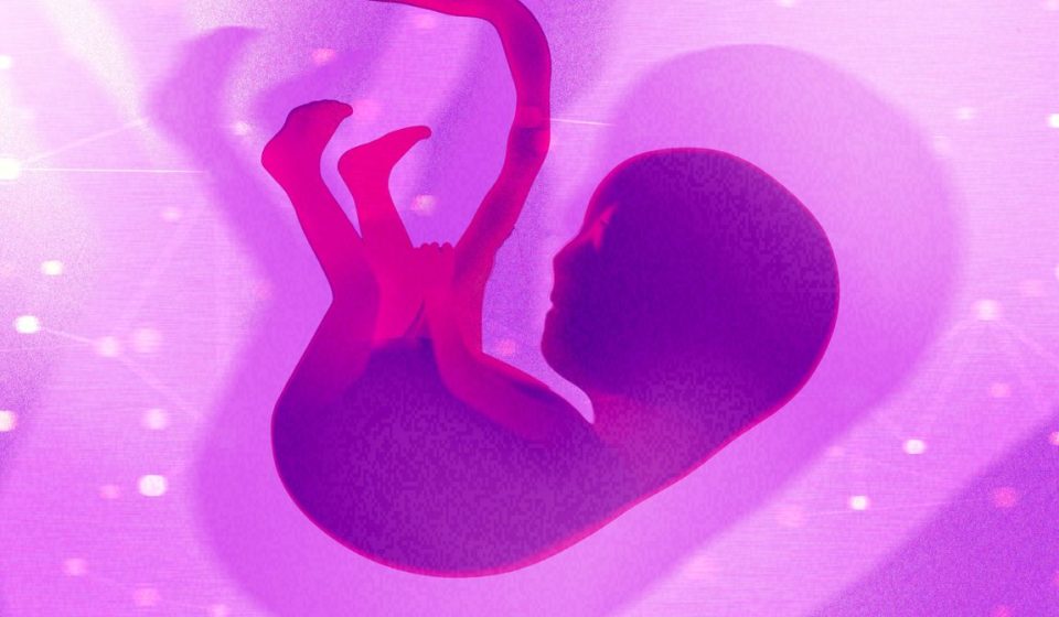 Biotech Founder Makes Moral Case for Genetically Editing Human Embryos