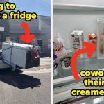 24 Relevant Photos That Are Much Funnier Than They Should Be - BuzzFeed