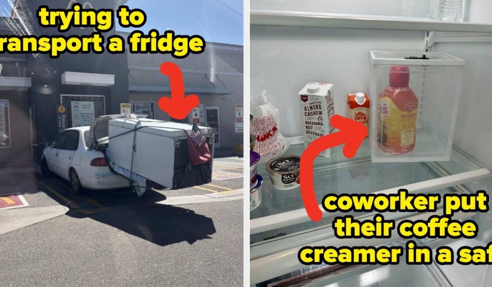 24 Relevant Photos That Are Much Funnier Than They Should Be - BuzzFeed