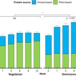 A new trial compared muscle gains in vegetarians and meat eaters. One difference stood out. : Science Alert